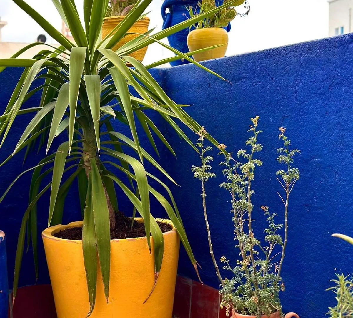 Nomads Hostel Tunisia Tunisia