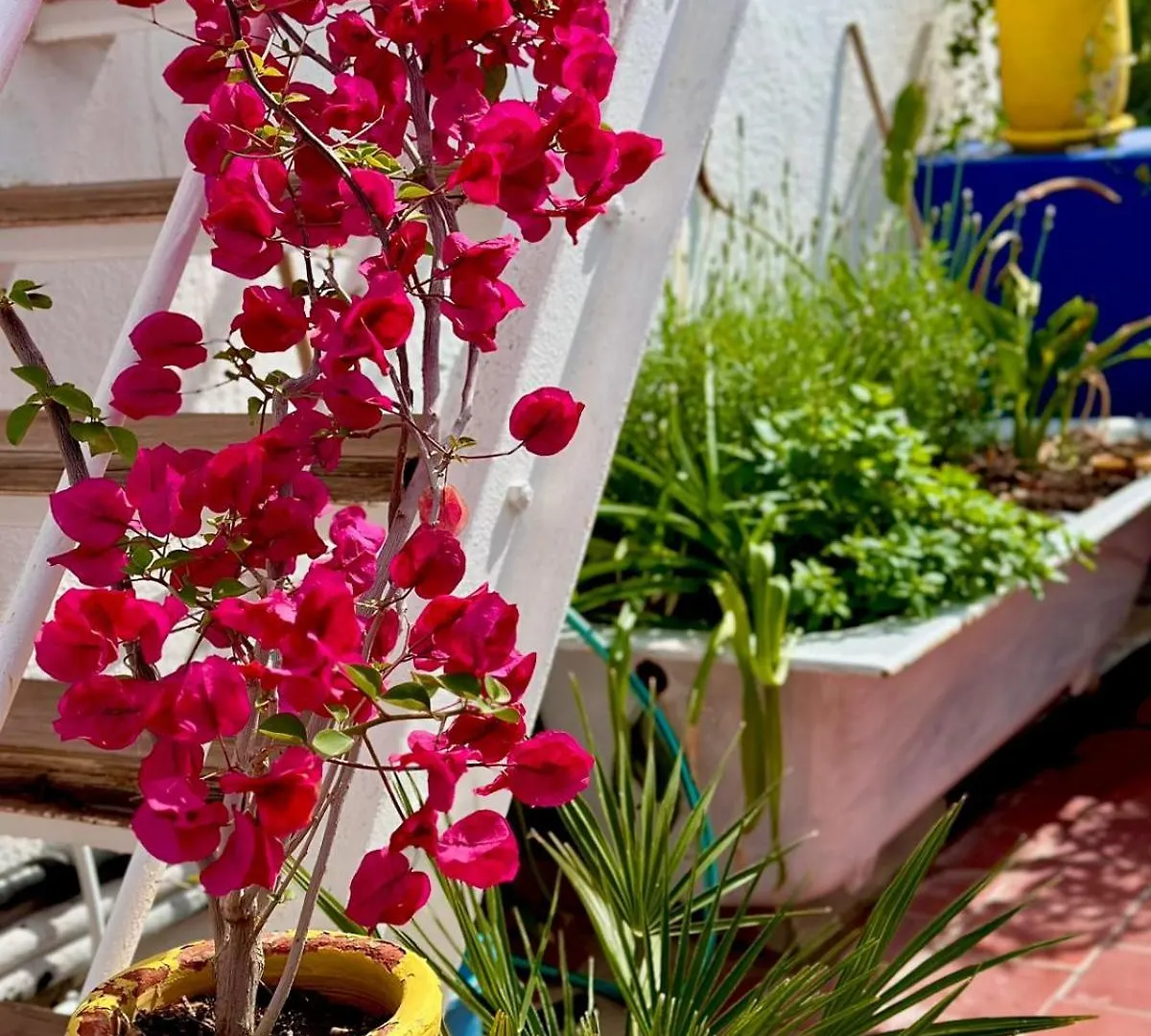 Nomads Hostel Tunisia