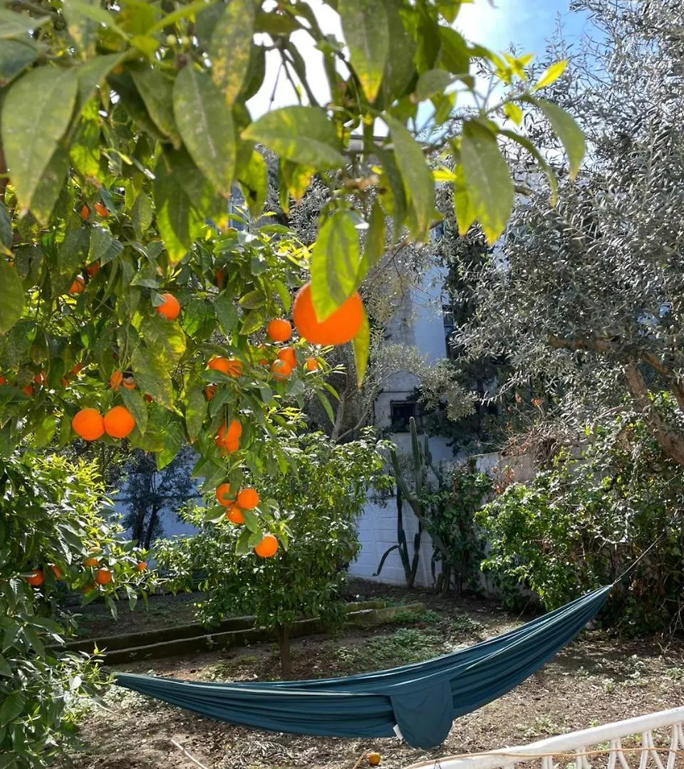Nomads Hostel Tunisia Tunis