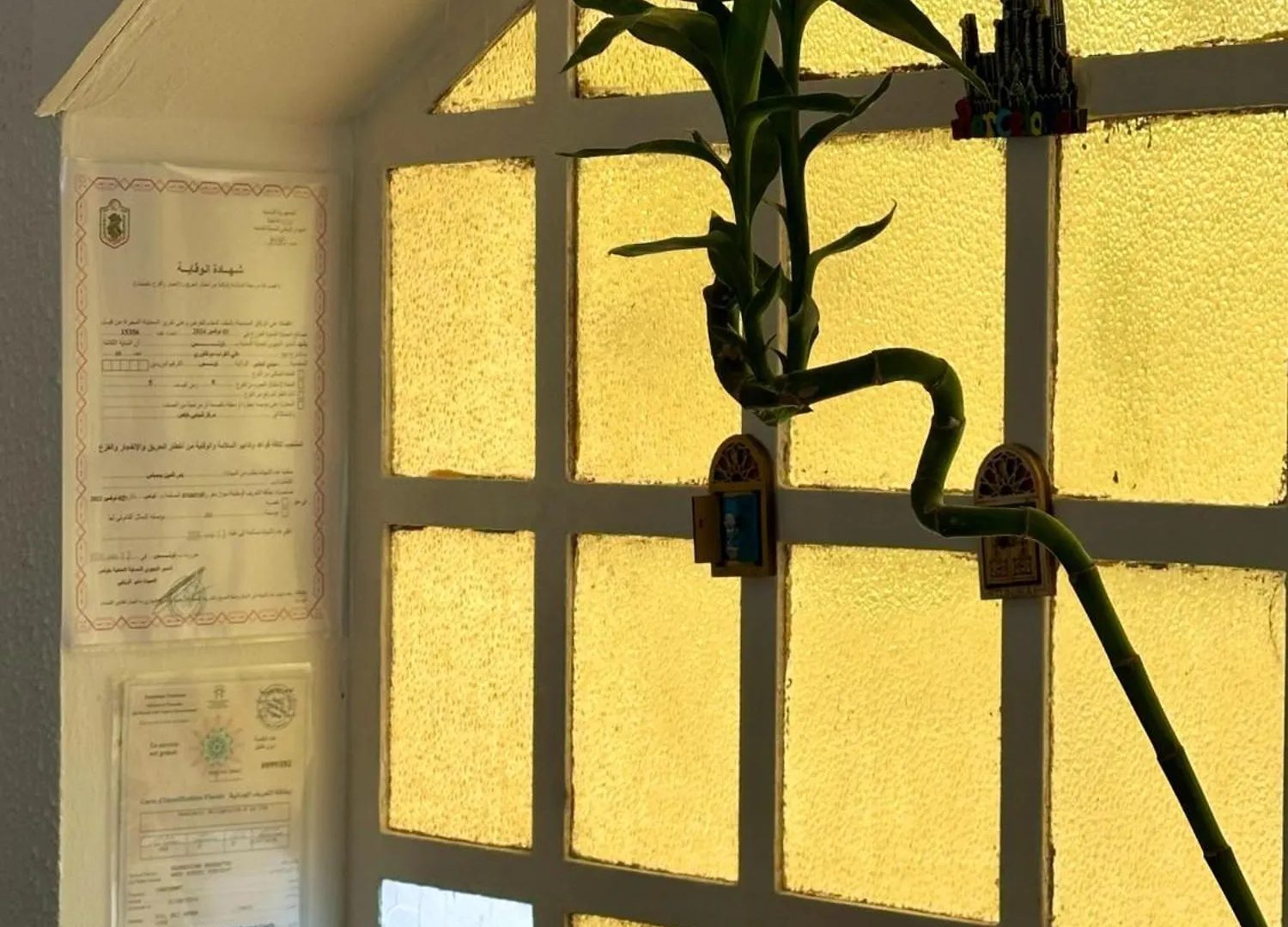 Nomads Hostel Tunisia  Tunis